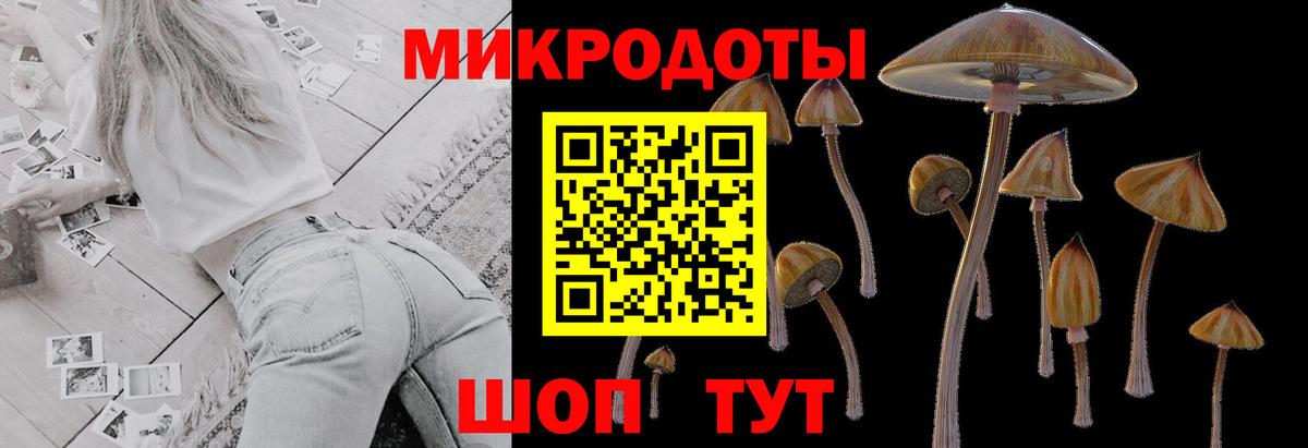 Щёкино  купить закладку  Вход с VPN  Псилоцибиновые грибы MAGIC MUSHROOMS 